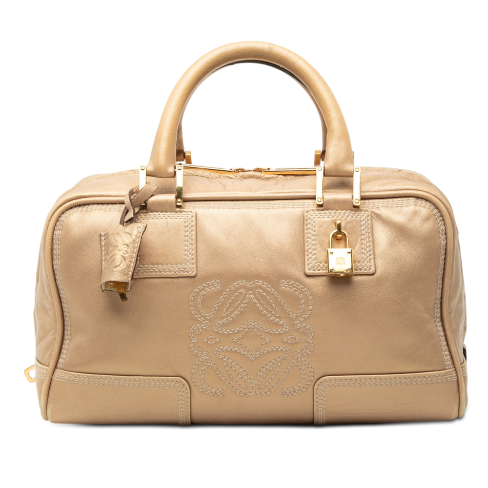 Pre-Loved LOEWE Metallic Leather Amazona 28